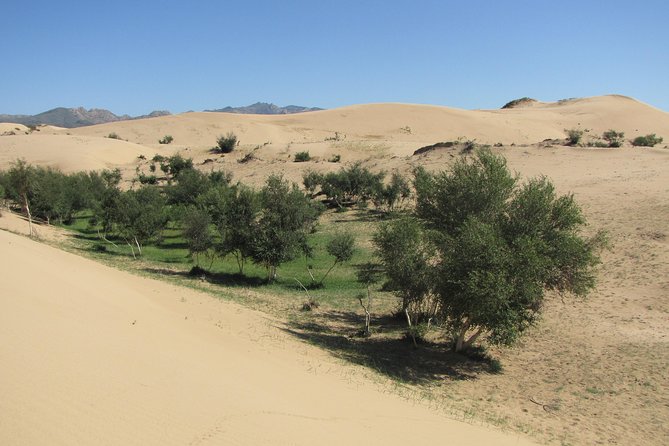 The Best of Central Mongolia Tour in 5 Days - Day one: sand, steppe, and a night with herders