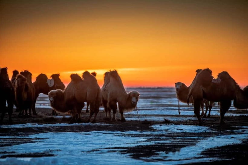 Ulaanbaatar: 4-Day Central Mongolia Winter Tour - Kharkhorin and the road to Tsenkher