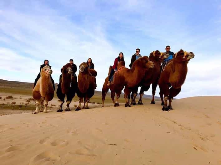 Ulaanbaatar: Semi-Gobi Desert Day Trip & Camel Ride - The changing country outside your window