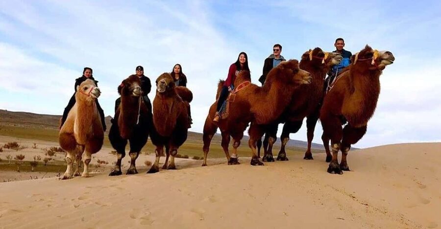 Ulaanbaatar: Semi-Gobi Desert Day Trip & Camel Ride - The return journey and the real time commitment