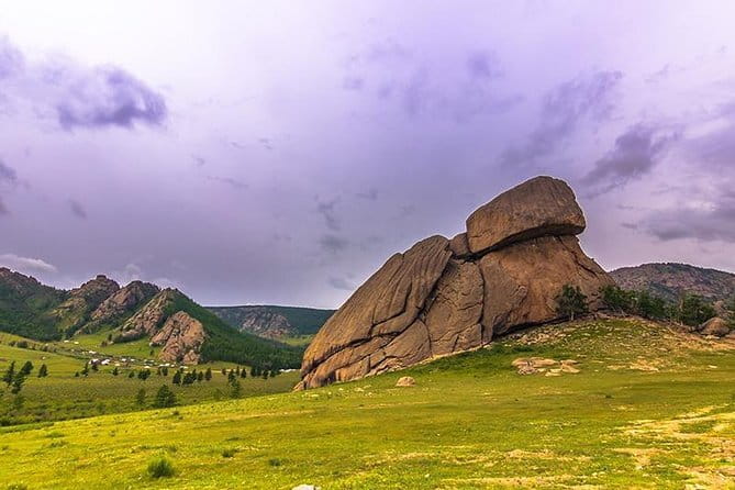 Wildlife Watching Day Tour at Hustai National Park - Wildlife beyond the Takhi
