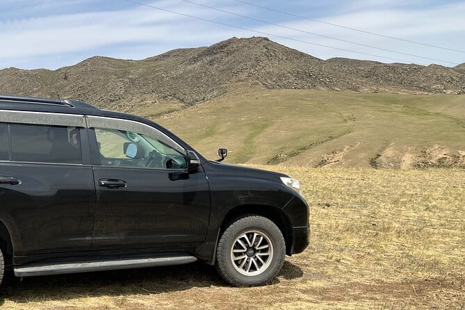 Wildlife Watching Day Tour at Hustai National Park - What the private format changes